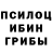 Галлюциногенные грибы мухоморы Jay Song