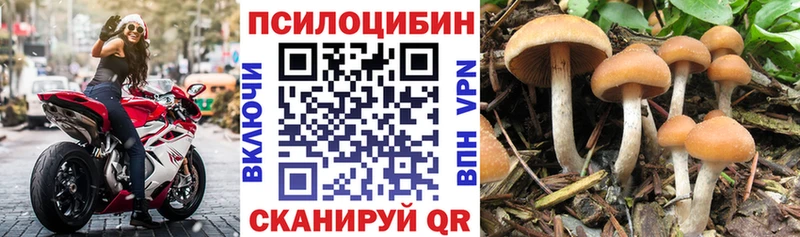 Псилоцибиновые грибы Magic Shrooms Салаир